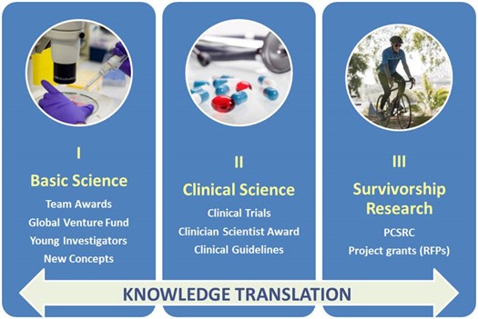 Knowledge Translation