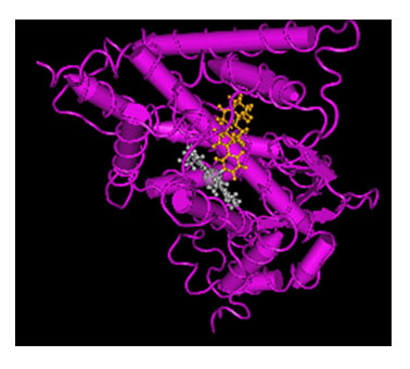 Abiraterone Fig