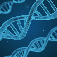 PSA testing for men with BRCA gene mutations