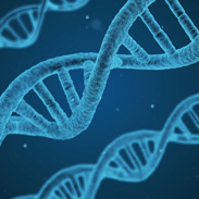 Testing for hereditary gene mutations in men with metastatic prostate cancer