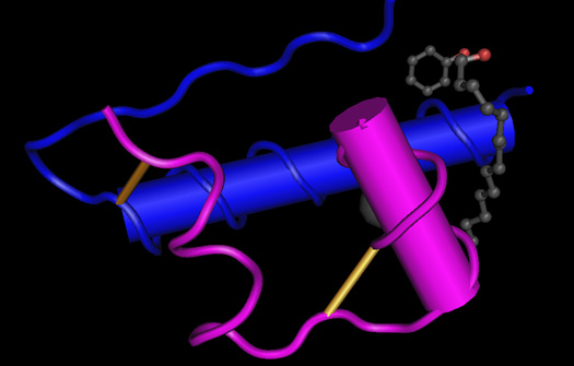 Insulin changes the nature of prostate cancer cells