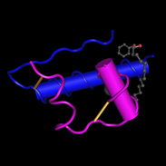 Insulin changes the nature of prostate cancer cells