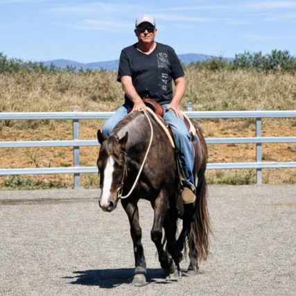 One Last Ride: $1,700 raised for legendary horseman Steve Nikolic