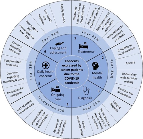 Diagram of concerns expressed by cancer patients due to the COVID-19 pandemic